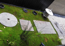 ��ʽͥԺ����̨��԰